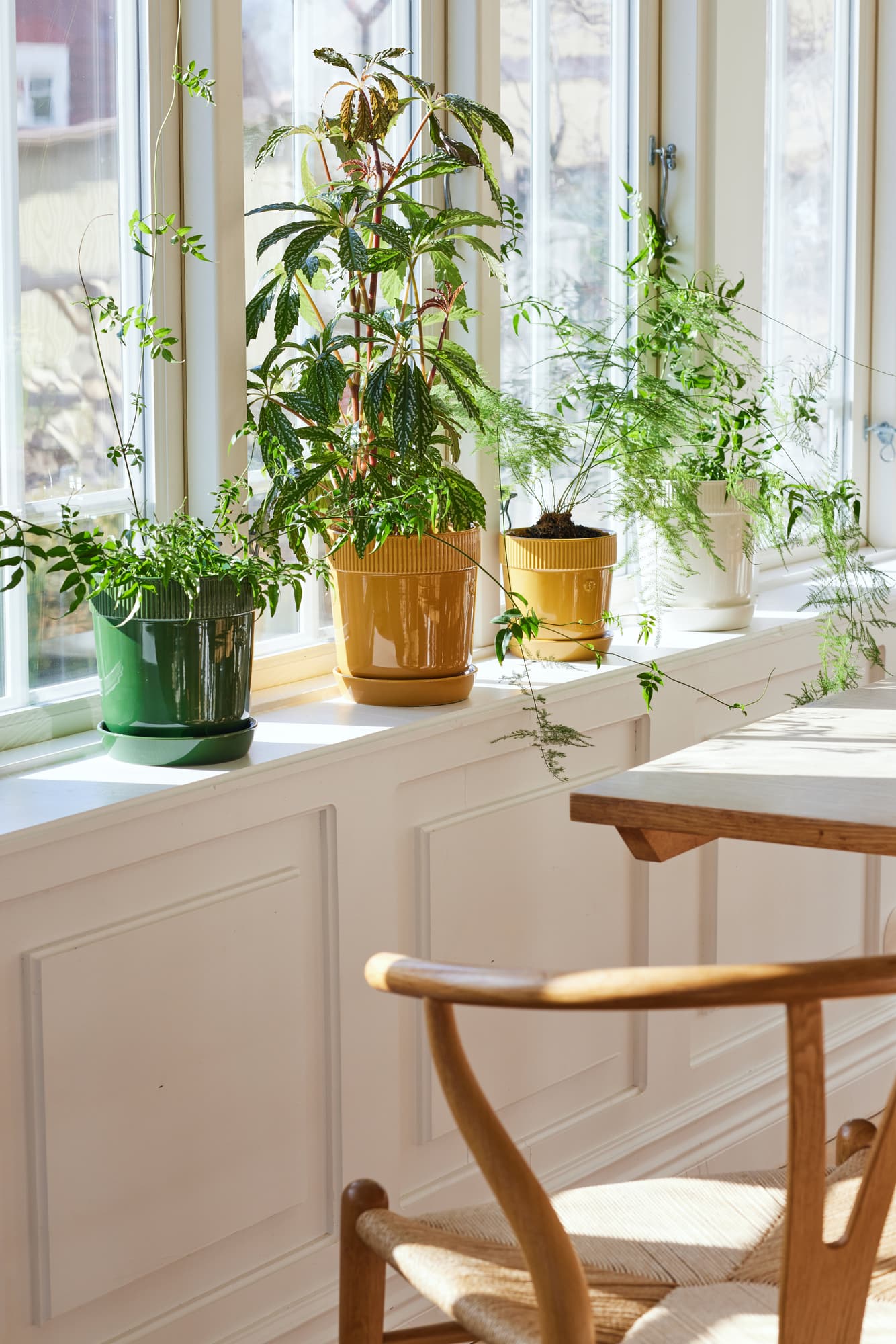 Elise Potte, Liten – bilde 5
